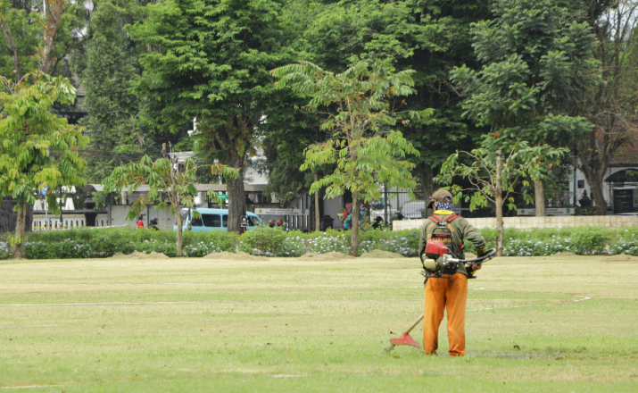 how to grow your lawn care business